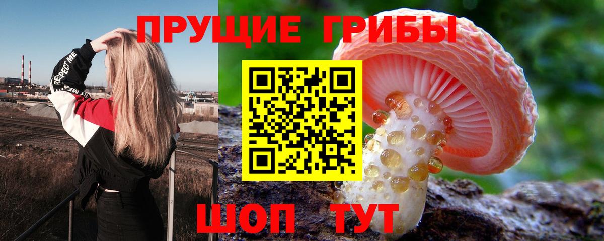 цена   Псилоцибиновые грибы GOLDEN TEACHER  Вход с VPN  Новосибирск 