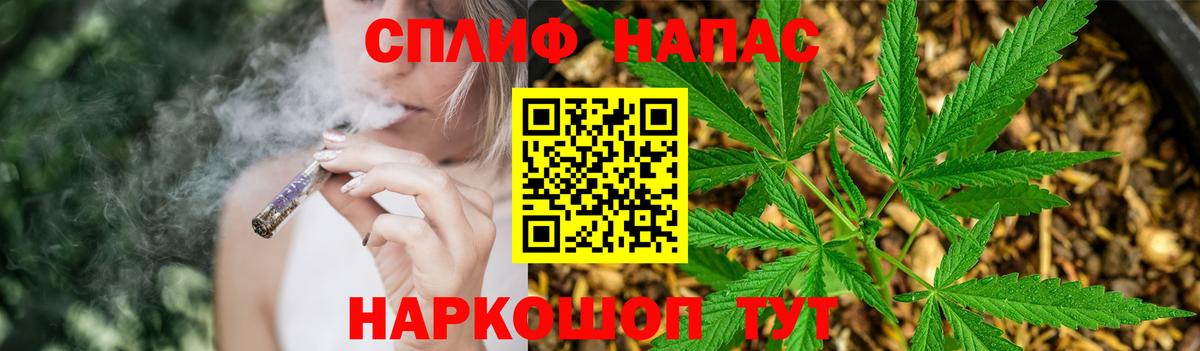 Канабис план Новосибирск